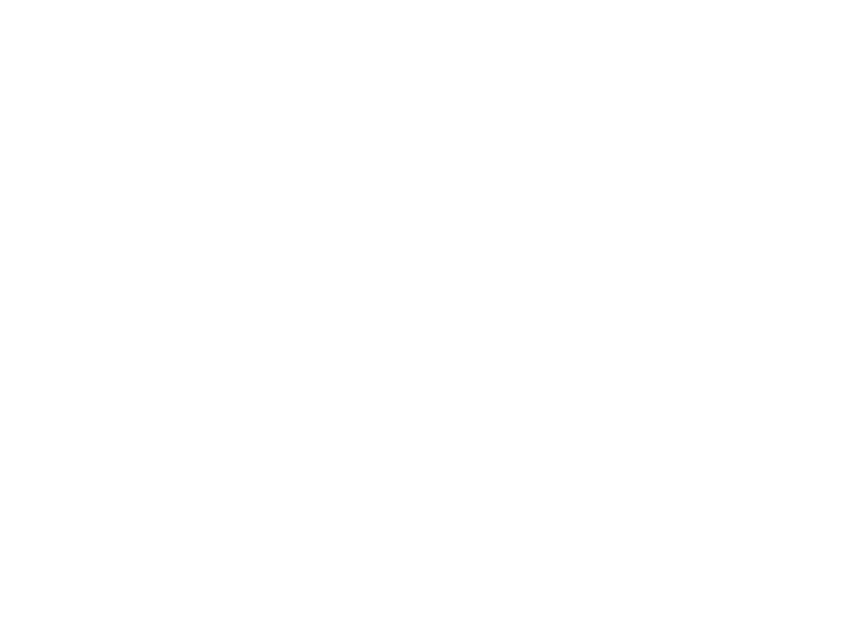 Loco Vectux Academy